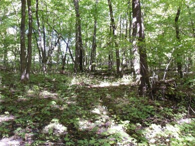 Woods