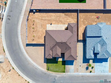 3813 S Sunnyview Ave, Carlsbad, NM 88220 - photo 3