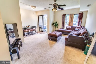 5804A Village Green Dr, Alexandria, VA 22309 - photo 5