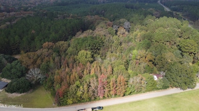 0 Mount Sinai Rd, Foxworth, MS 39483 - photo 3