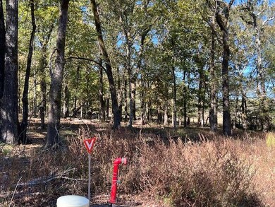 197 Deer Valley Cir, Broken Bow, OK 74278 - photo 4