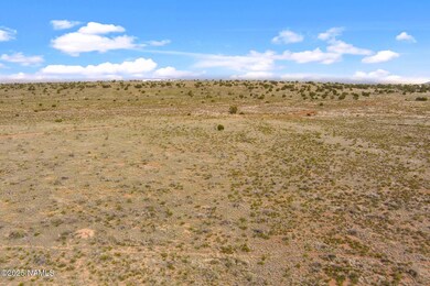 728 E Pine Rd, Valle, AZ 86046 - photo 6