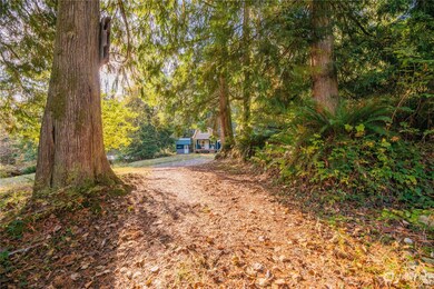 25516 Ebey Mountain Rd, Arlington, WA 98223 - photo 4