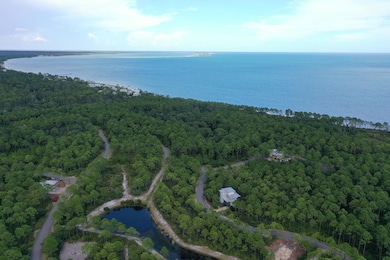 158 Lightning Bug Ln, Saint Teresa, FL 32358 - photo 2