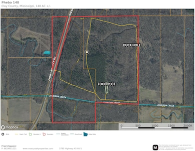 0 Mississippi 389, Pheba, MS 39755 - photo 3