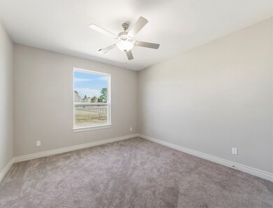 11034 Pinto Dr, Needville, TX 77461 - photo 6