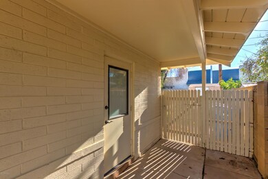 307 N Cholla-5