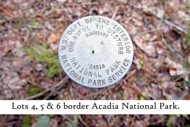 ANP marker 1, label