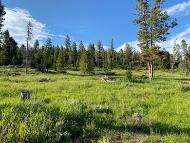 Tbd Quartz Hill Rd, Wise River, MT 59762 - photo 7