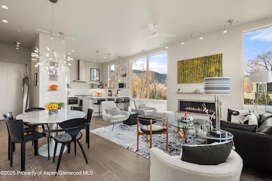 103 Willits Way unit 204, Basalt, CO 81621 - photo 5