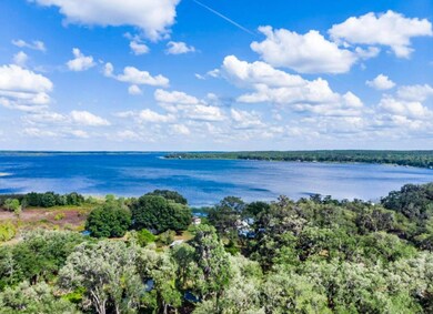 20940 NE 142nd Place, Fort Mc Coy, FL 32134 - photo 7