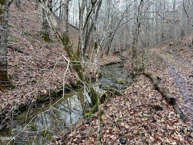 000 Leatherwood Rd, Sevierville, TN 37876 - photo 6