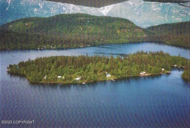Aerial View of Birch Island
