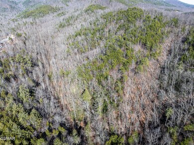 Tract 4 Wilhite Rd, Pittman Center, TN 37876 - photo 4