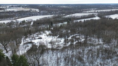 DJI_0810
