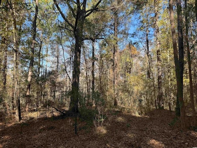 793 Puncheon Creek Dr, Andrews, SC 29510 - photo 5