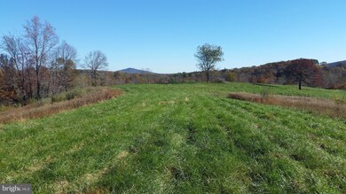 687 Scrabble Rd, Castleton, VA 22716 - photo 3