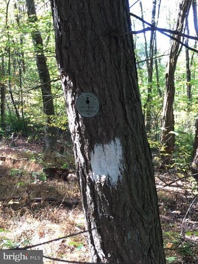 0 Pine Mountain Rd, Lock Haven, PA 17745 - photo 5