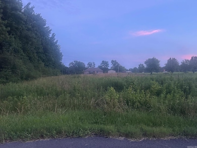 Lot 13 Chasey Cove, Ward, AR 72176 - photo 3