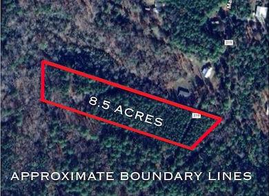 8.5 AC +/- Tbd Cr 319, Broaddus, TX 75929 - photo 2