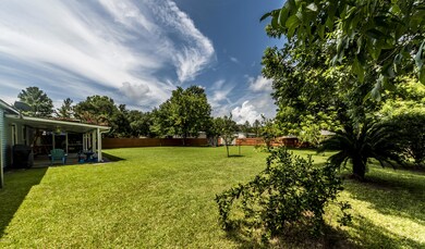 Back Yard 1