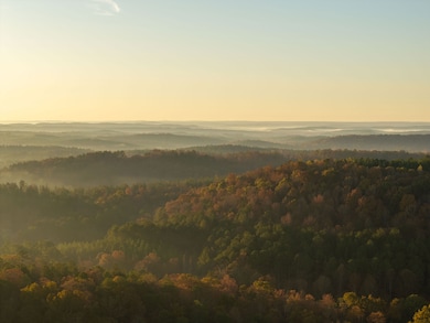 1214 Reid Place Rd, Thomaston, GA 30286 - photo 4