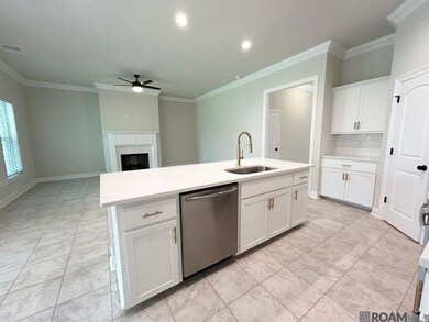 4944 Catalpa Dr, Addis, LA 70710 - photo 6