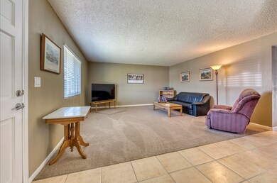 Living Room ~ Entry