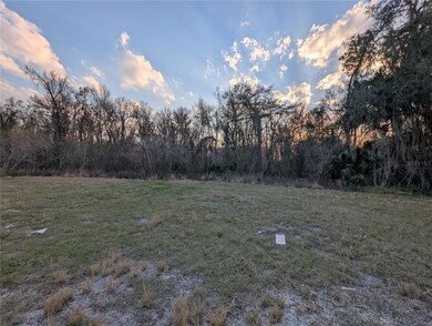 275 S Us Highway 17, East Palatka, FL 32131 - photo 7