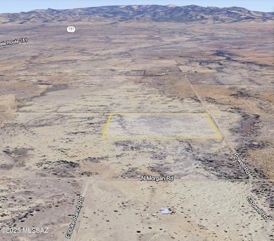 TBD 40 Acres Tyree Rd unit 118, Pearce, AZ 85625 - photo 2