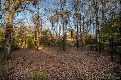 0 Diagonal Rd unit 2547240, Stuart, OK 74570 - photo 5