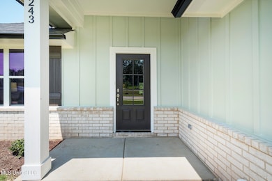 4243 Olivia Cir W, Olive Branch, MS 38654 - photo 4