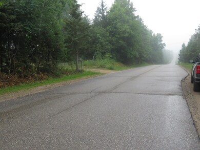 10753 S Dalt Point Rd county road view 6