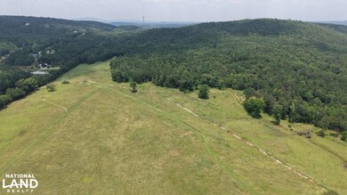 0 State Hwy 21, Sycamore, AL 35149 - photo 7