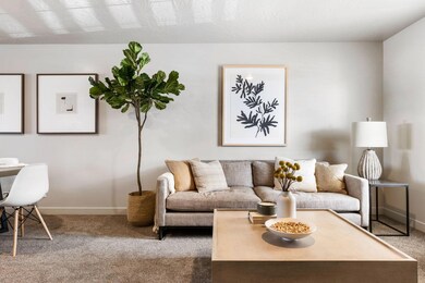 1167 E Telegraph St unit a102 - www.lyst