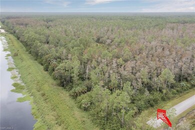 Birds eye view of property with a forest view