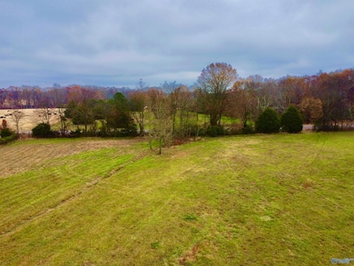 Tract 1 County Road 89, Anderson, AL 35610 - photo 6