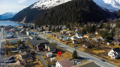 DJI_0706pin