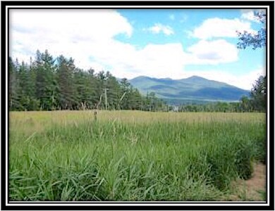 1170 Easton Rd, Franconia, NH 03580 - photo 4