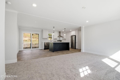 370 Tanasi Dr, Newport, TN 37821 - photo 3