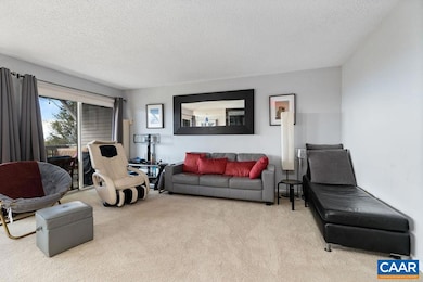 3211 N Ridge, Wintergreen Resort, VA 22967 - photo 2