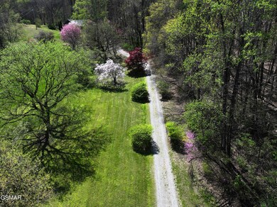 Entrance and Front yard