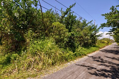 0 Amau Rd unit 720360, Keaau, HI 96749 - photo 4
