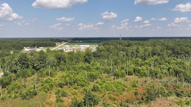 0 Highway 521 unit Tract 2, Greeleyville, SC 29056 - photo 5