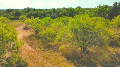 2460 Cr 312, Cleburne, TX 76031 - photo 6