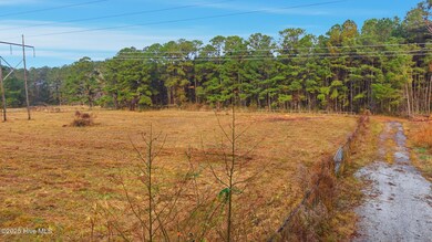 4360 Buck Dr, Cape Fear, NC 28429 - photo 5