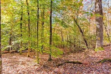 00 Jasmine Dr, Marble, NC 28905 - photo 7