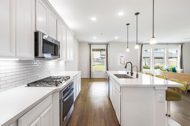 27911 Cochran Park Trail, Spring, TX 77386 - photo 7