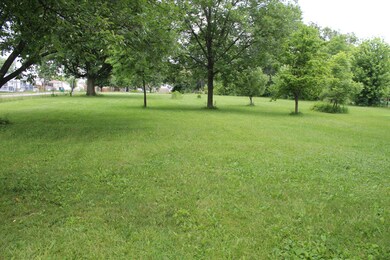 Fenced Back Yard 2