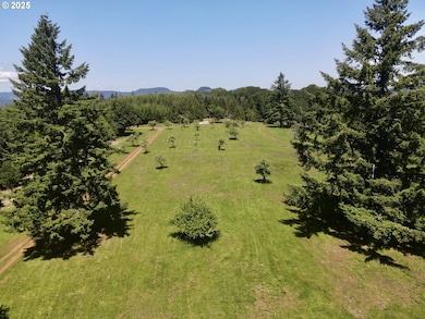 11892 Dupee Valley Rd, McMinnville, OR 97128 - photo 5